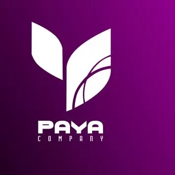 همیاران اندیشه ساز پایا