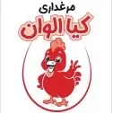شرکت کیا الوان