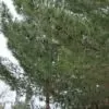 استخدام جوشکار در دفتر فنی مهندسی نویان گستر جیرفت در جیرفت