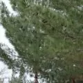 دفتر فنی مهندسی نویان گستر جیرفت