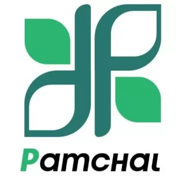 شرکت رایان گستر پامچال 