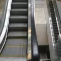 اسکلاتور 