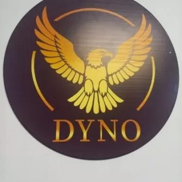 هلدینگ داینو 