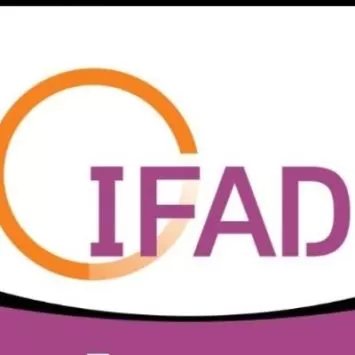 ایفاد تجارت تاوریژ