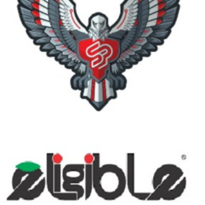 استخدام بازاریاب و ویزیتور در دیستاپ(فروش تخصصی لنت و دیسک ترمز) در یزد