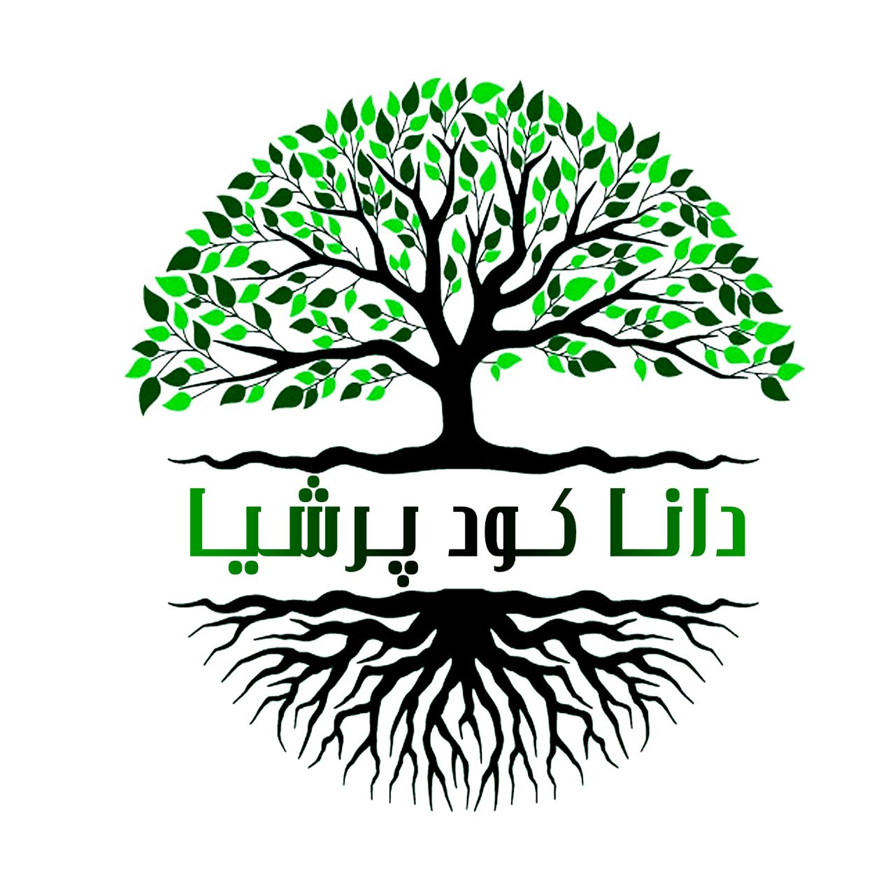 استخدام کارشناس فروش در داناکود پرشیا در مشهد