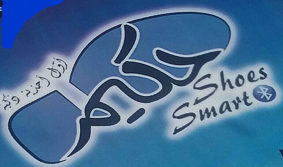استخدام کارشناس فروش در Hakimsmartshoes در مراغه