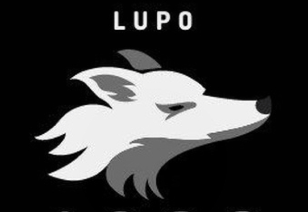 استخدام بازاریاب و ویزیتور در لوپو در تهران