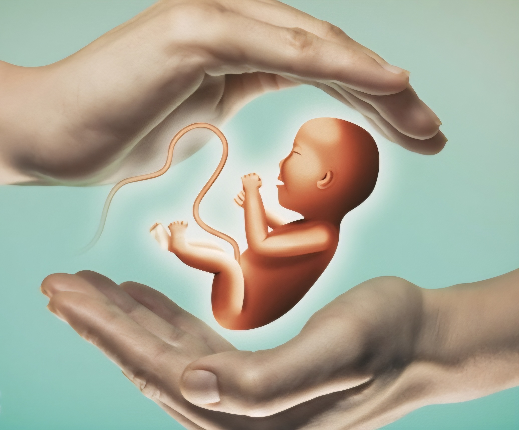 استخدام نگهدار کودک و سالمند در بهپویان رویش امید  در تهران