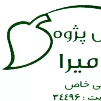 پایش پژوه پادمیرا